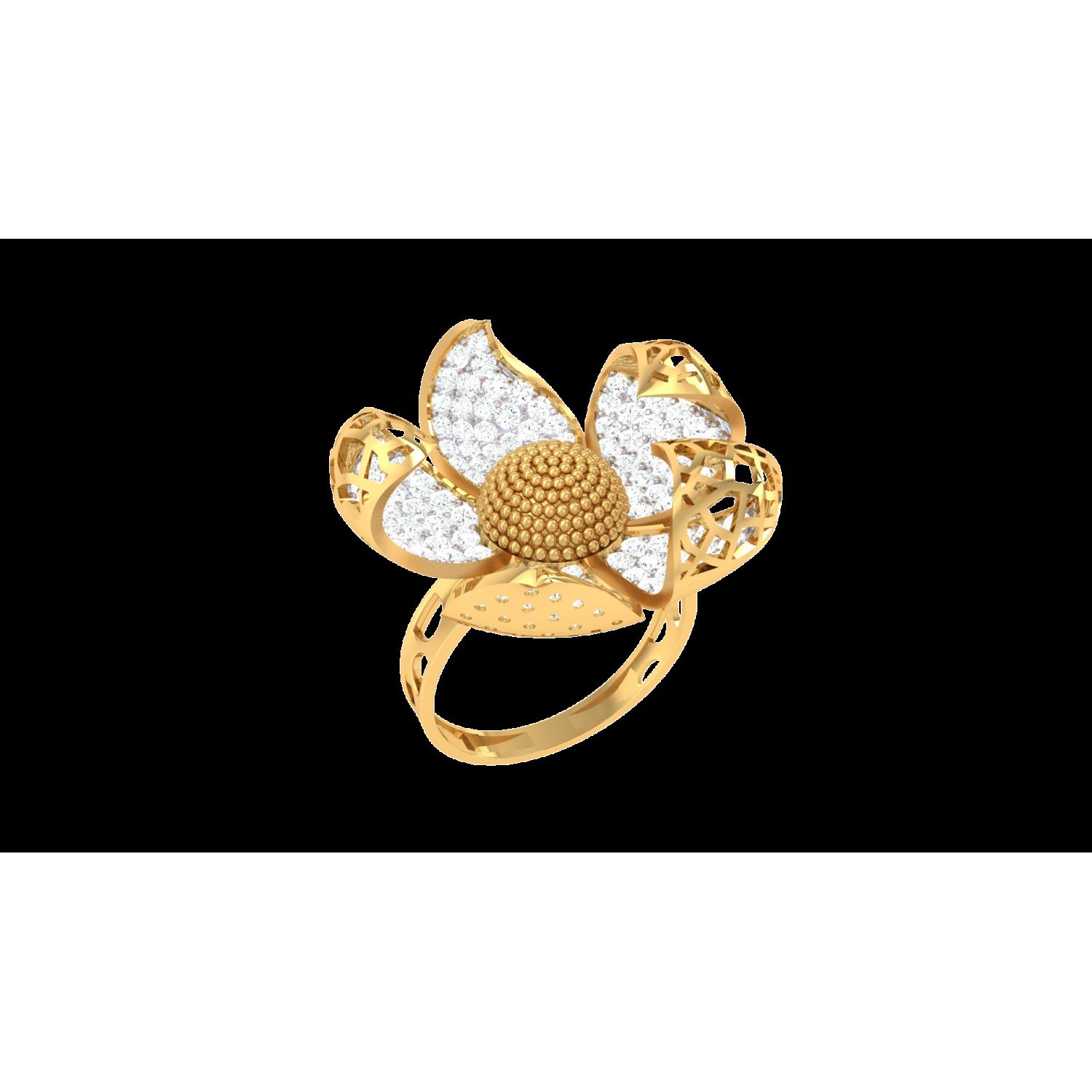 Rings-(JVD050923-502828)