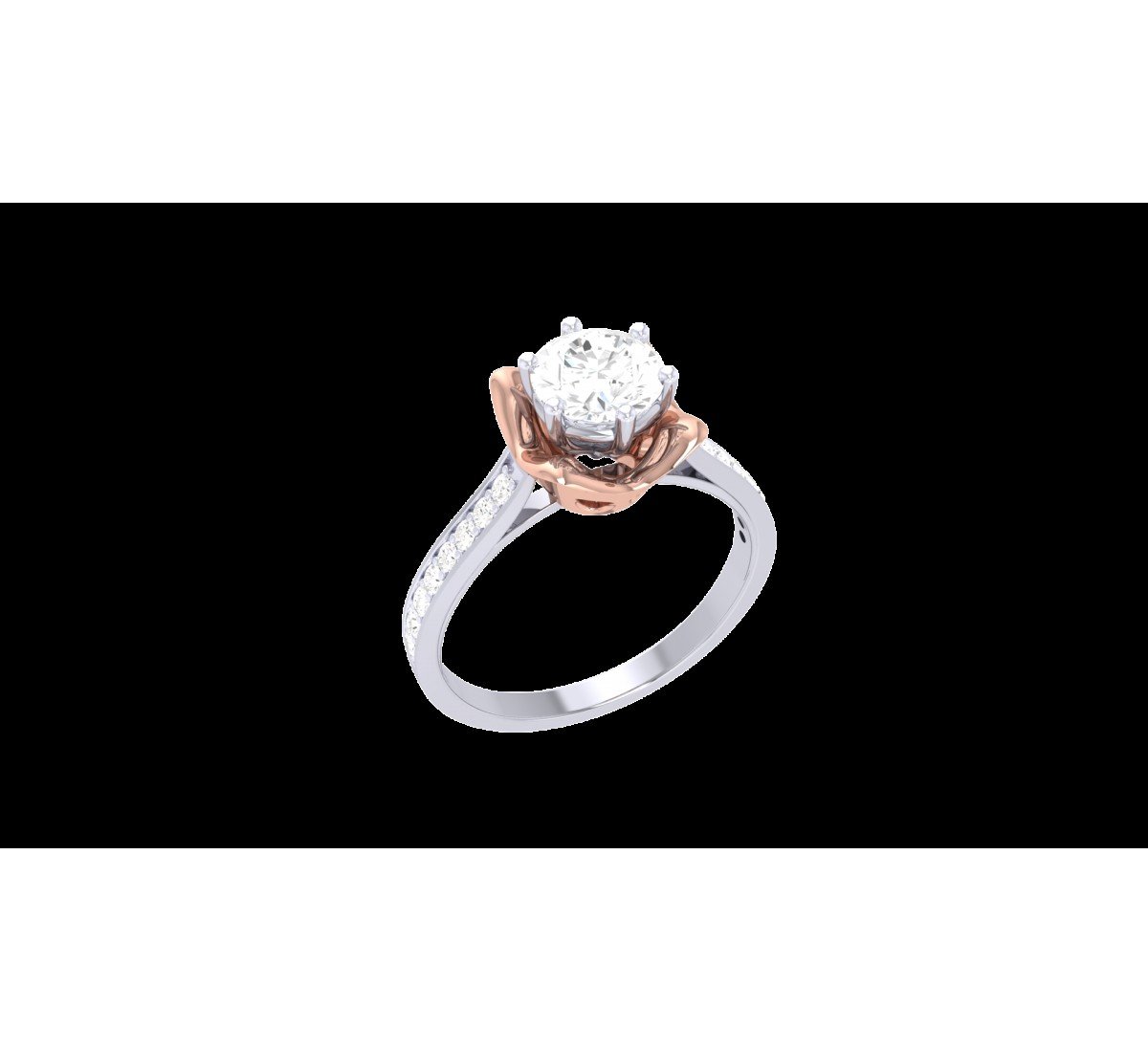 Rings-(JVD050923-504018)