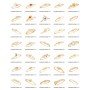 Bundle-12(mix-Brecelet,Bangles,Earring,Pendent,ring)