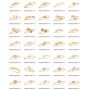 Bundle-12(mix-Brecelet,Bangles,Earring,Pendent,ring)